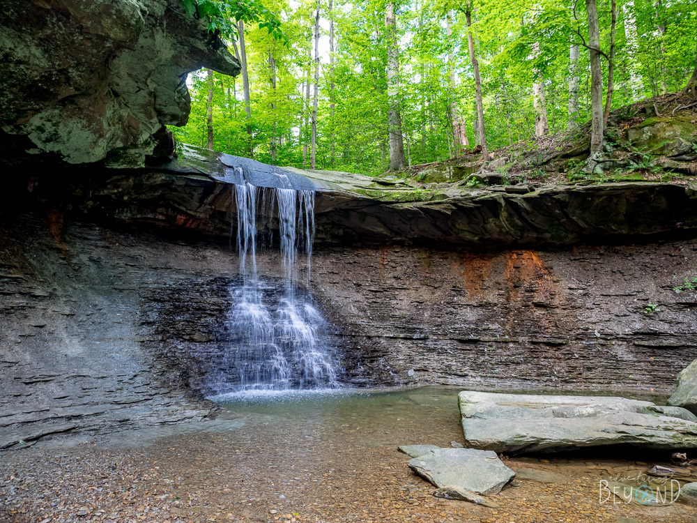 4 Best Dog-Friendly Hikes in Cuyahoga Valley National Park