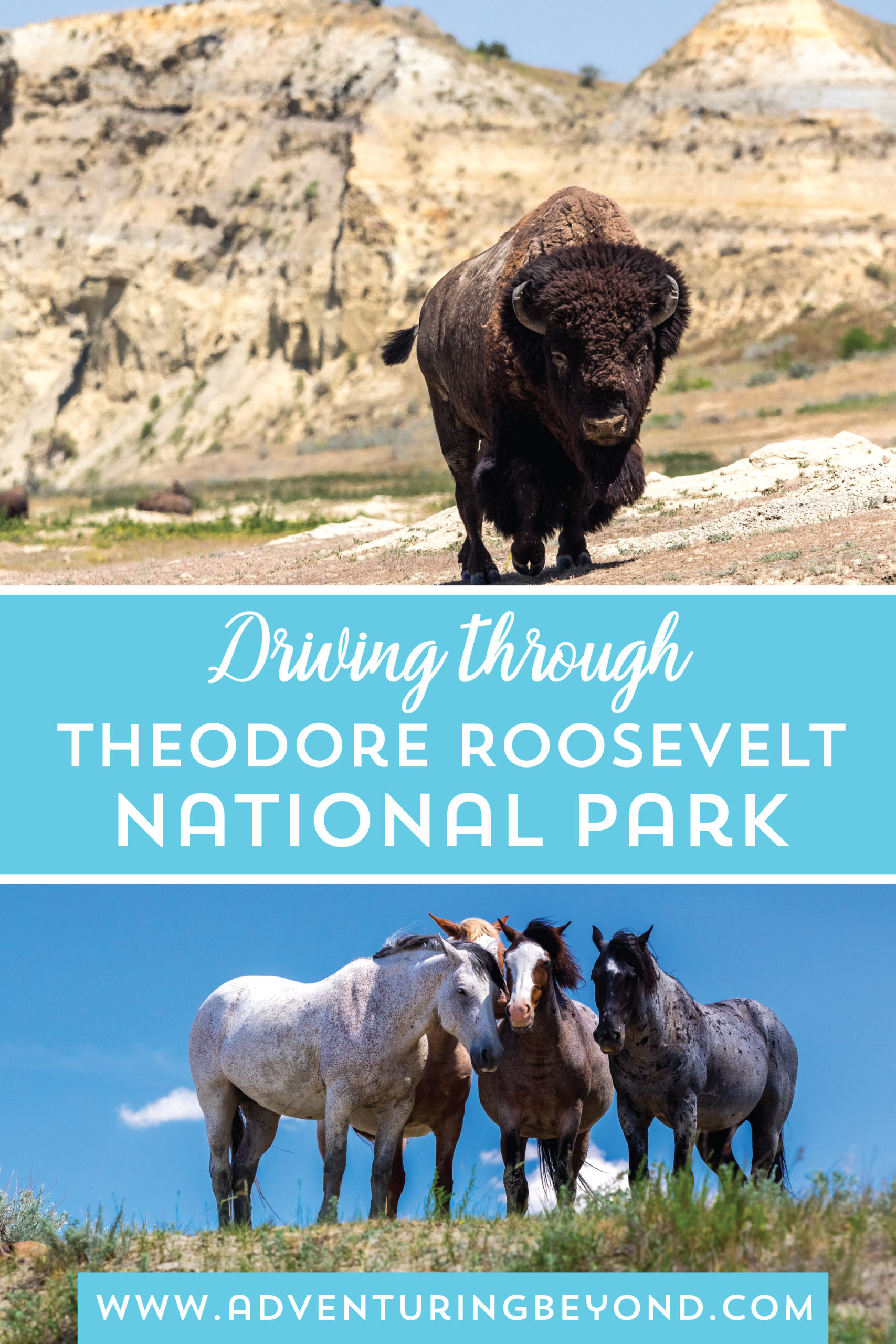 1 Quick Day in Theodore Roosevelt National Park