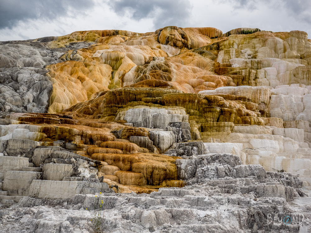 How to Make the Best Out of Visiting Yellowstone during COVID