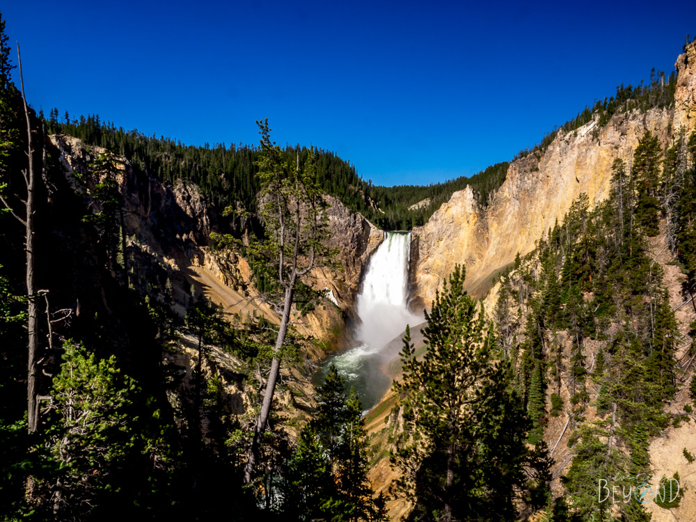 how-to-see-the-best-of-yellowstone-in-3-days