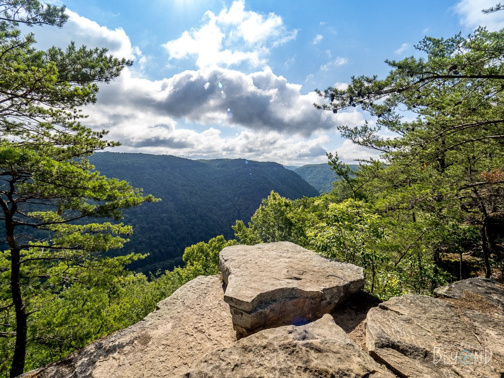 Complete Guide to 1 Day in New River Gorge National Park - Adventuring ...